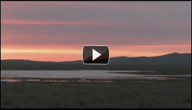 Video: Looking Out on My Homeland
