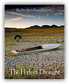 The Perfect Drought