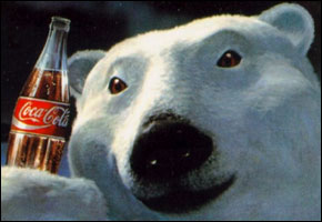 coke_bear