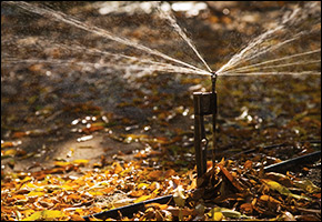 irrigation1