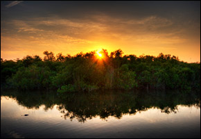 everglades01