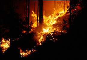 ozfires