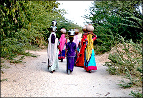 watercarry