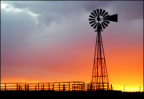 windmill
