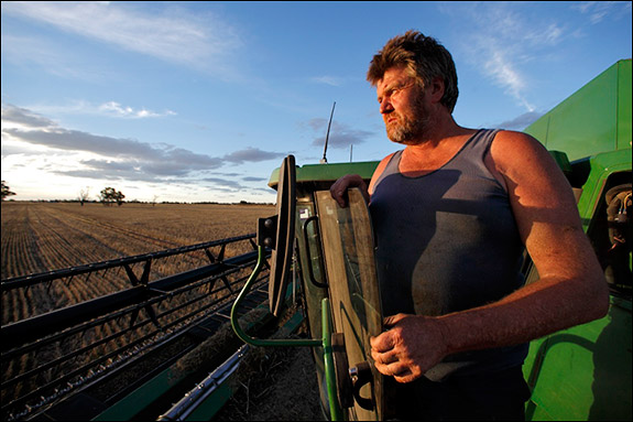Harvesting withered wheat on a former rice paddy, Gilbert Bain reflects on the prospects of the land he works near Deniliquin, New South Wales.