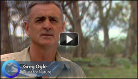 Video: Greg Ogle Illustrates Murray's Failing Circulatory System