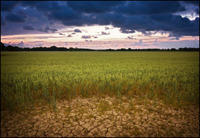 dryingriver dryingriver