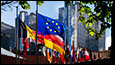 euflags_excerpt