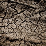 A dry field.