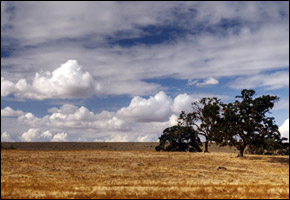 central_valley central_valley