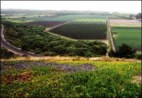centralvalley centralvalley