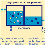 Reverse osmosis desalination process. Infographic by Hannah Nester/Circle of Blue.