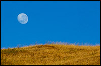 moonfield