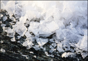 salt