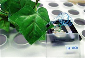 sensor sensor