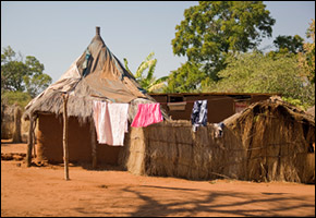 cholera