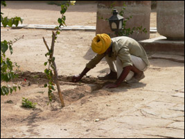 indiadrought