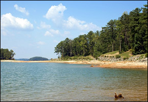 lanier lanier