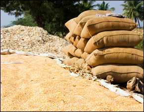 India Drought Affects Imports India Drought Affects Imports