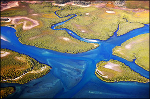 riversbranch