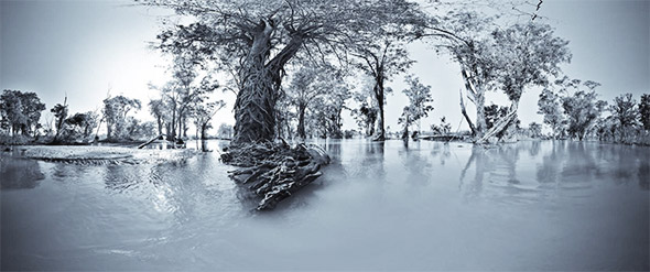 Mekong River Ramsar – Site 999