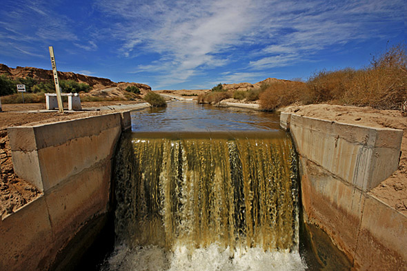 Scenes from an artifical wetland filtration system designed to purify runoff water set in an agricultural area which traditionally uses water from the Colorado river distributed through a series of canals and irrigation channels, Imperial Valley. (Photo by Brent Stirton/Reportage for Getty Images.)