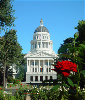 Gov. Schwarzenegger Vetos Human Right to Water Bill