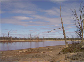 Mildura Psyche Bend