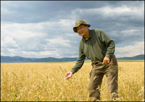 Food Supplies in an Era of Climate Change