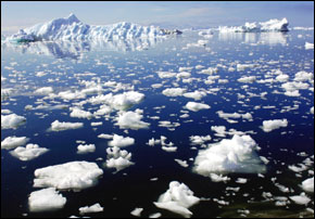 Disappearing Arctic Summer Ice