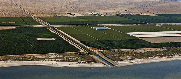 America's Water Supply: Scarcity Becoming Endemic (Photo by Brent Stirton/Reportage by Getty Images.)