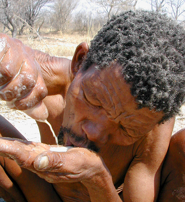 The Central Kalahari Game Reserve is the second largest game reserve in the world and mostly inaccessible.