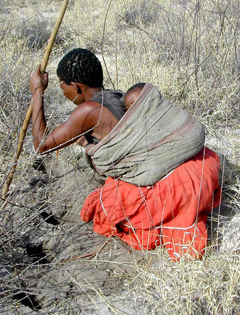 Workman uses the Bushmen's story to reflect on the global water an climate crises.
