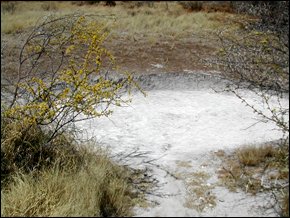 Since the mid-1990s the Botswanan government tried relocating the Bushmen off the Central Kalahari Game Reserve.