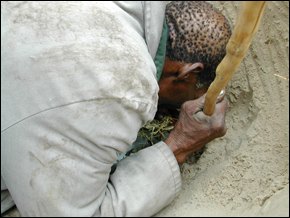 Since the mid-1990s the Botswanan government tried relocating the Bushmen off the Central Kalahari Game Reserve.