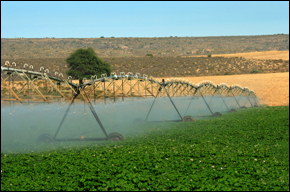 Climate Change Is Water Change