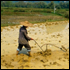 Climate News Story: China’s Poor Farmers Hit Hardest by Climate Change 