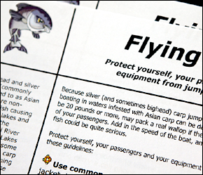 Flying Fish : Asian Carp 