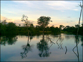 Xingu River, Amazon
