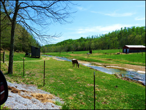 water farm