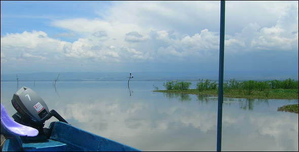 A view of Lake Naivasha from inside a tour boat