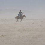 gallery_12