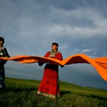 gallery_15