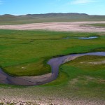 gallery_21