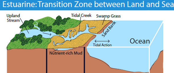 land-and-sea-infographic