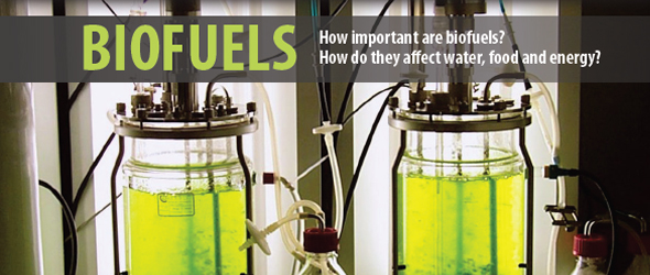 biofuels-101-infographic