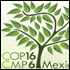 Climate News Story: Water and Climate Connection — Will It Make the COP-16 Negotiating Texts in Cancun? 