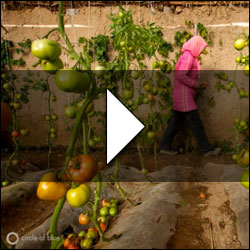 China Photo Water Energy Yellow River Agriculture title=