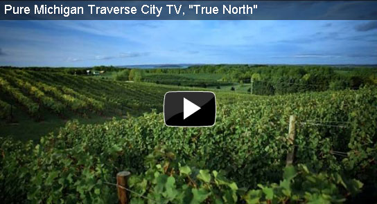 Pure Michigan Video