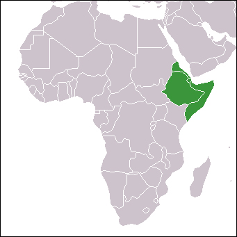 The Horn of Africa